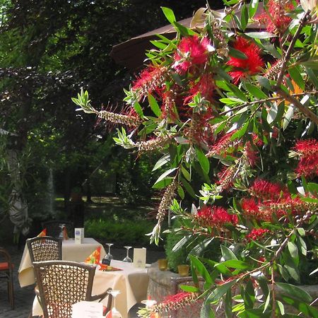 Landidyll Wilminks Parkhotel Neuenkirchen  Exterior photo